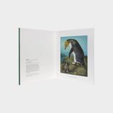 Eileen Mayo’s Rare and Endangered Birds of Aotearoa New Zealand – 30 Pull-Out Posters