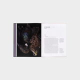 Fiona Pardington: Taharaki Skyside