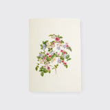 Card by Hydrangea Ranger of Auckland, New Zealand