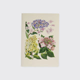 Card by Hydrangea Ranger of Auckland, New Zealand