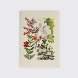 Card by Hydrangea Ranger of Auckland, New Zealand