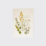 Card by Hydrangea Ranger of Auckland, New Zealand