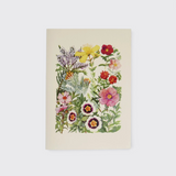 Card by Hydrangea Ranger of Auckland, New Zealand