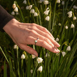Lei ring made by Luisa Farah in Pōneke Wellington, NZ