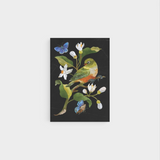 Card by Te Papa of Pōneke, Aotearoa
