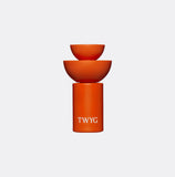 Renewing antioxidant facial oil by TWYG