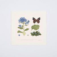forget-me-not floral gift card