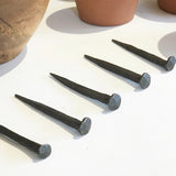A group of steel nails