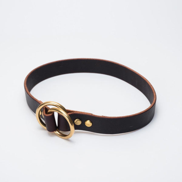 leather and brass dog collar